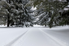 Winter driveway. Photo by Barbara Howe